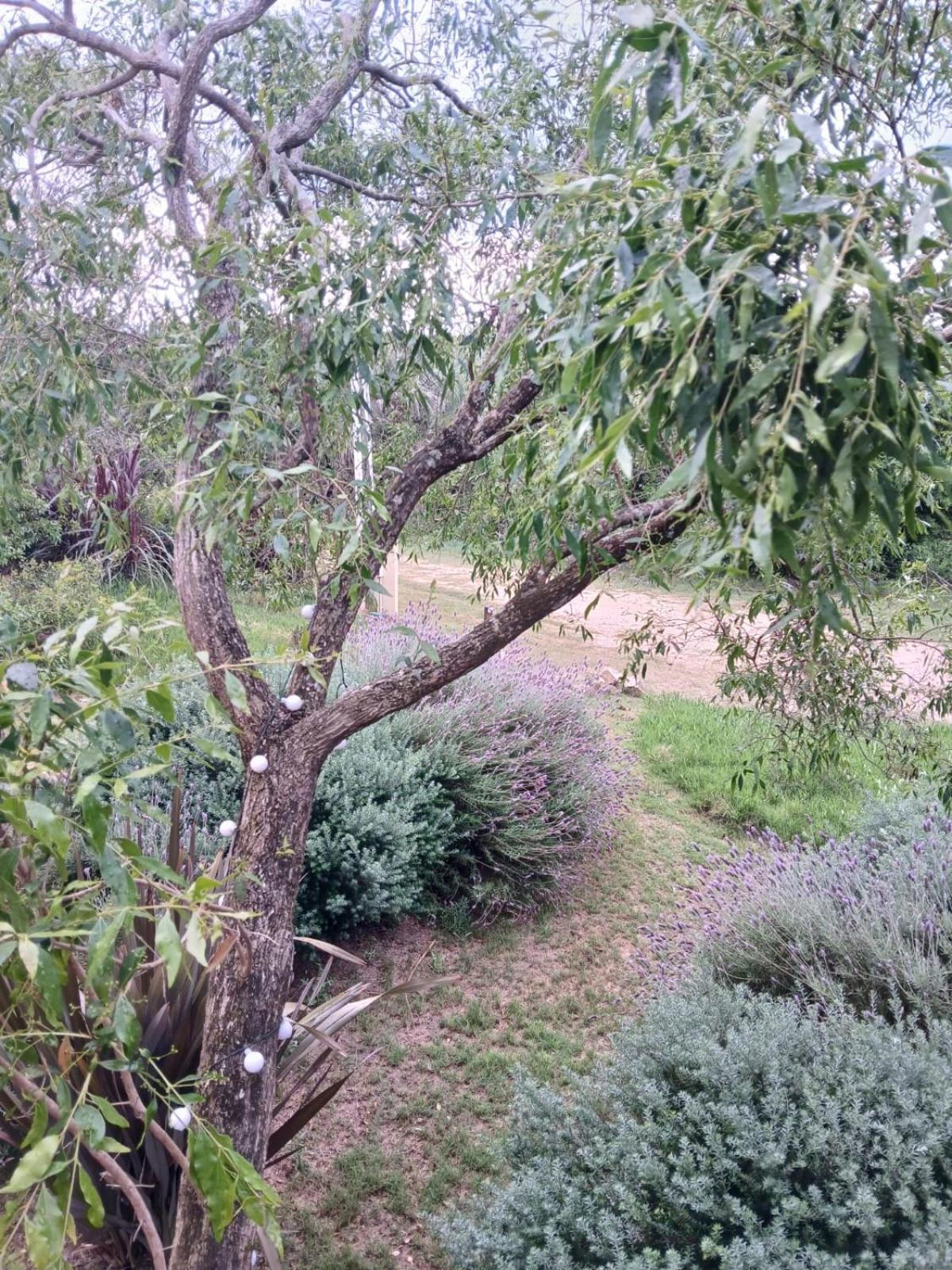 Nio De Baixo Βίλα La Pedrera Εξωτερικό φωτογραφία